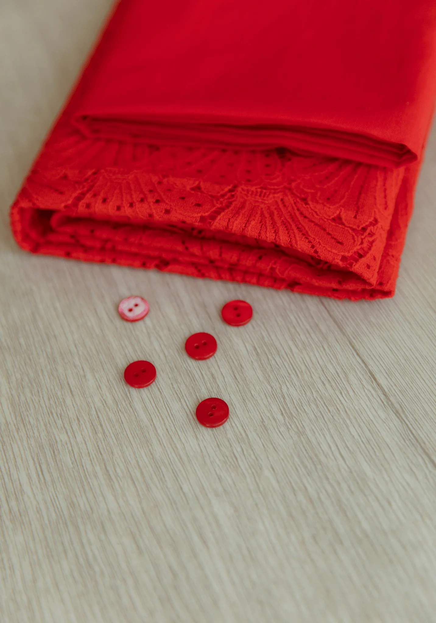 Tissu dentelle Coquillage - 3 coloris - Image 21