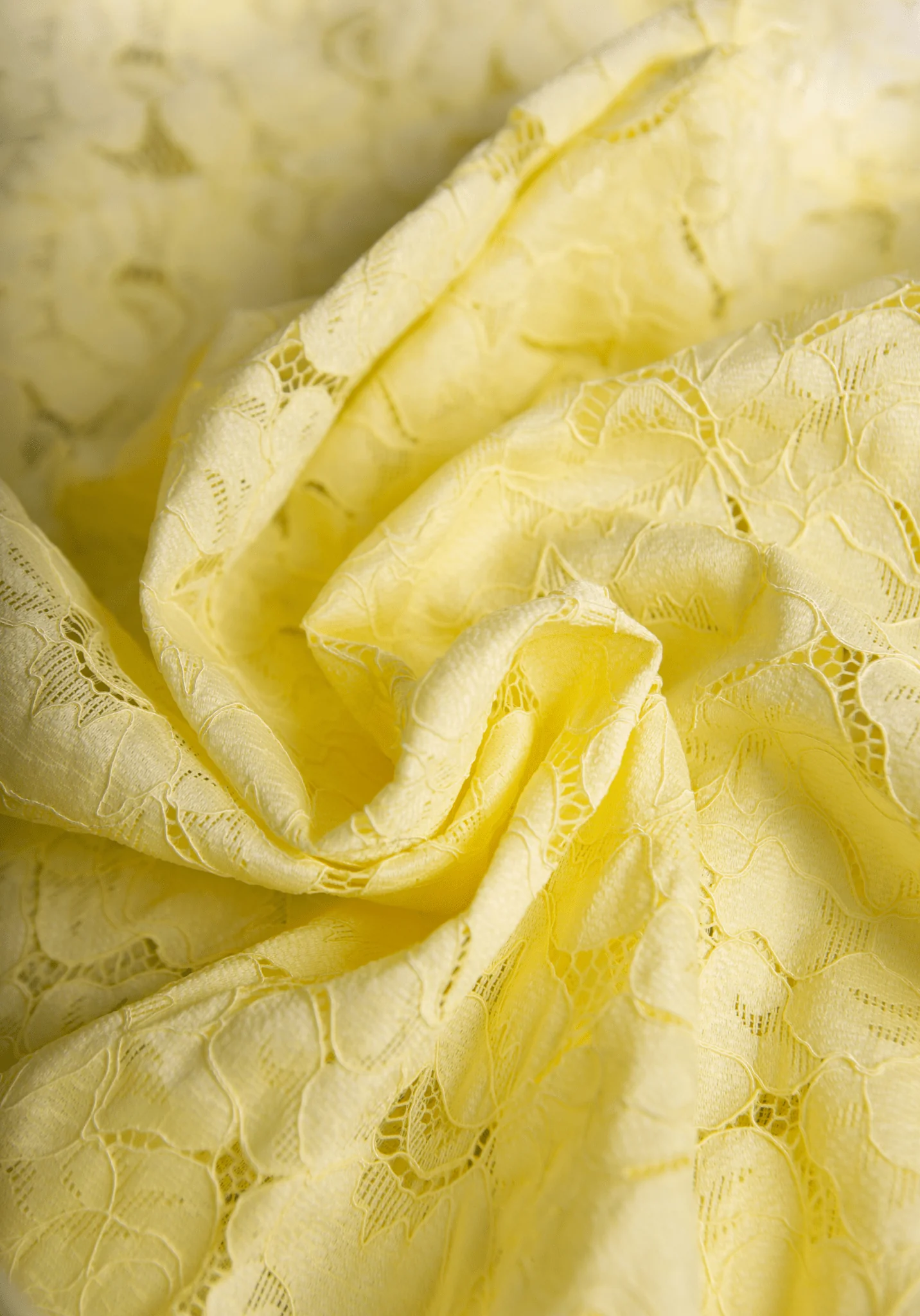 Tissu dentelle florale Daphné - Plusieurs coloris - Image 23